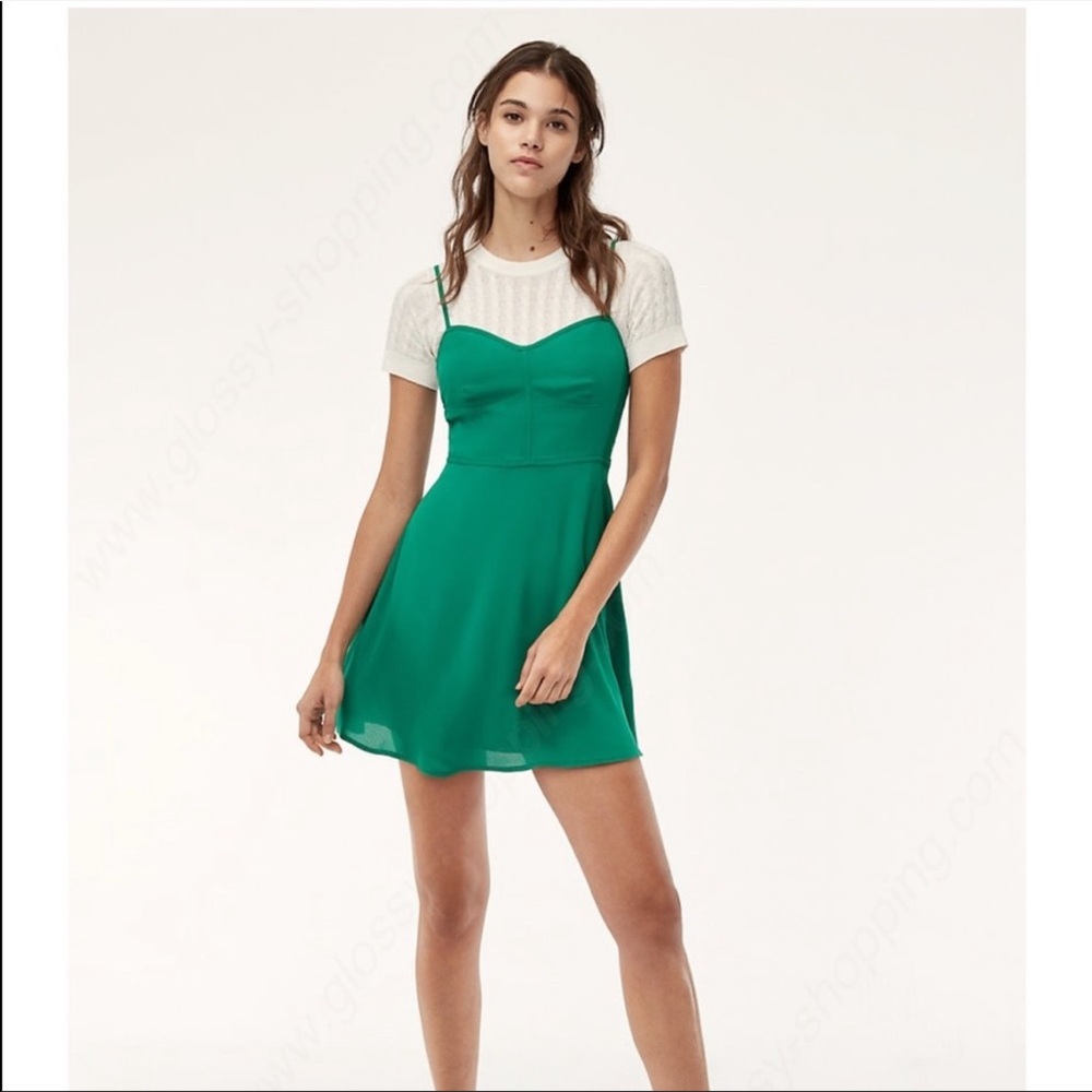 NWT Aritzia Green Lipinski dress